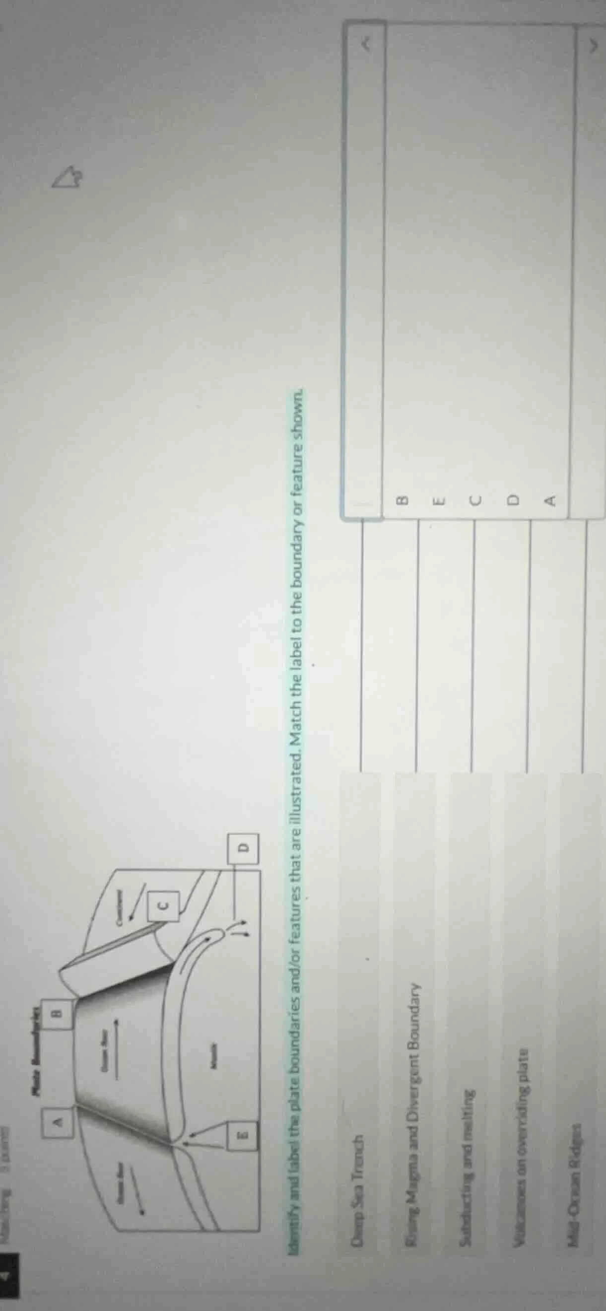 identify and label the plate boundaries and/or features that are illust…