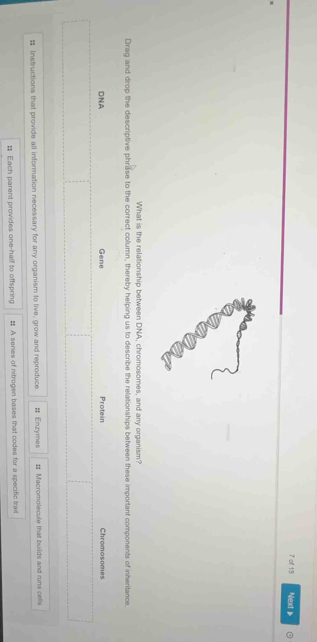 what is the relationship between dna, chromosomes, and any organism? dr…