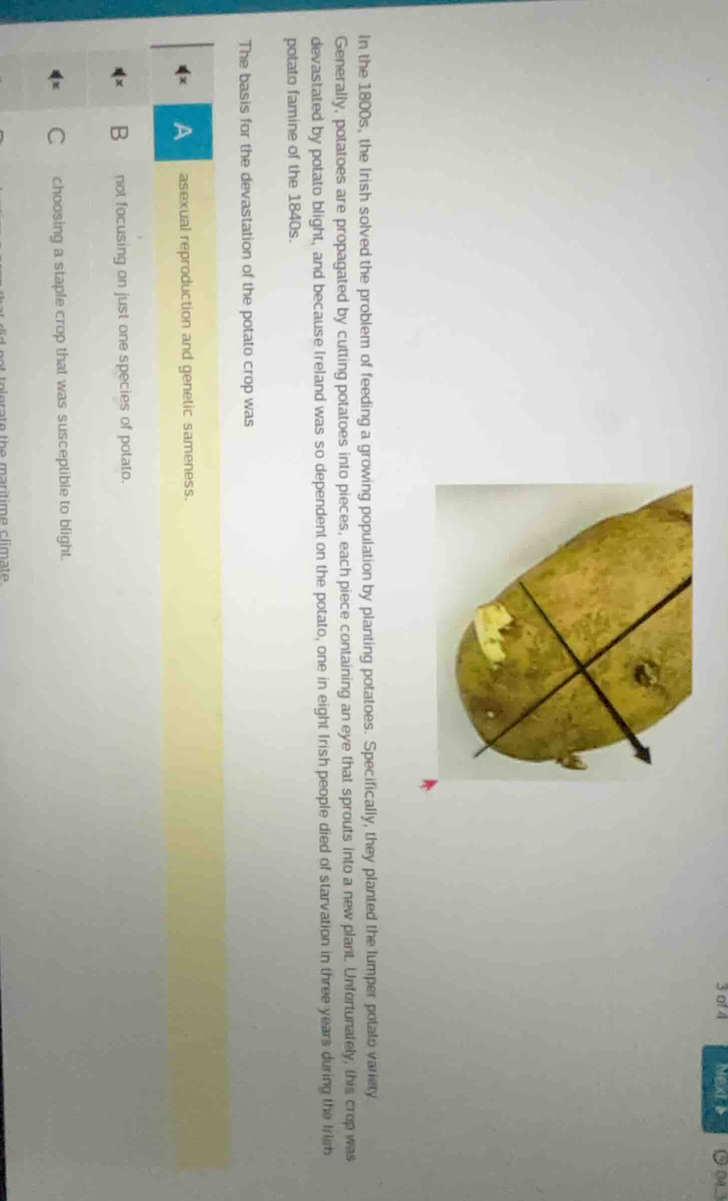 in the 1800s, the irish solved the problem of feeding a growing populat…