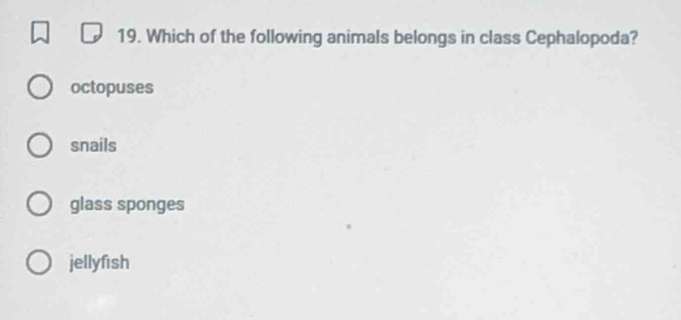19. which of the following animals belongs in class cephalopoda? octopu…