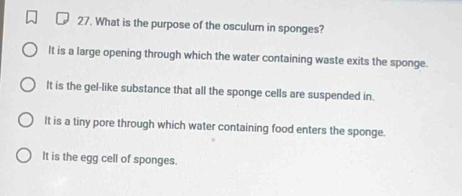 27. what is the purpose of the osculum in sponges? it is a large openin…