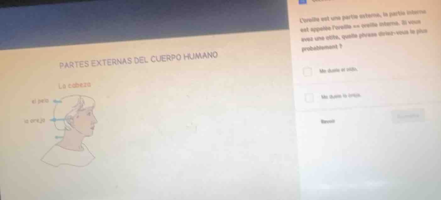 partes externas del cuerpo humano la cabeza ei pelo la oreja loreille e…