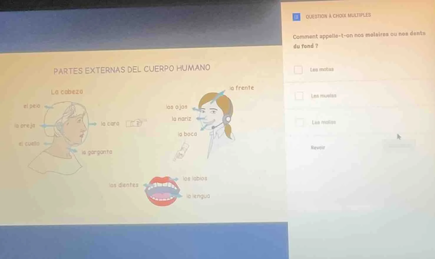 partes externas del cuerpo humano la cabeza el pelo la oreja el cuello …