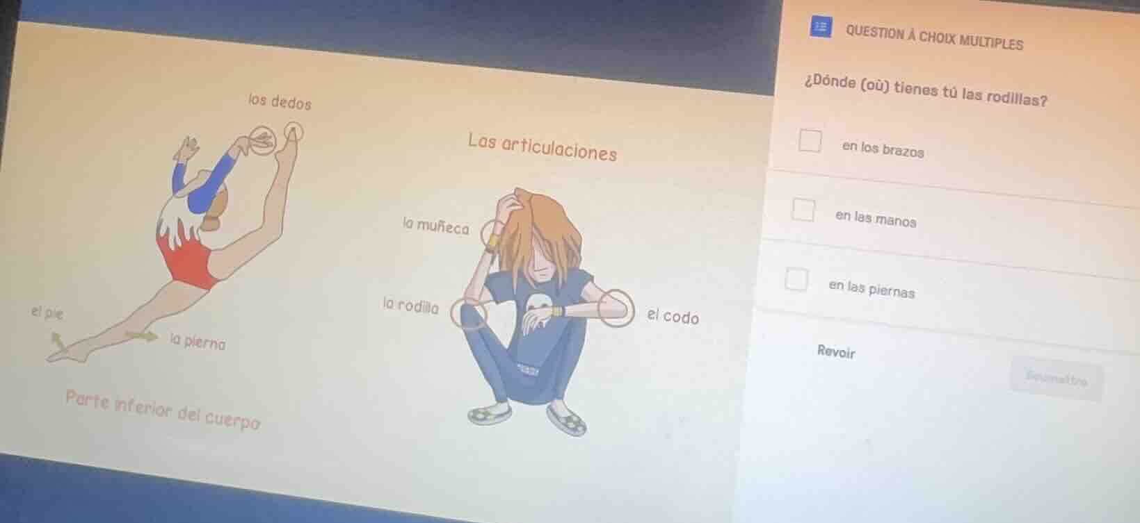 question à choix multiples ¿dónde (où) tienes tú las rodillas? en los b…