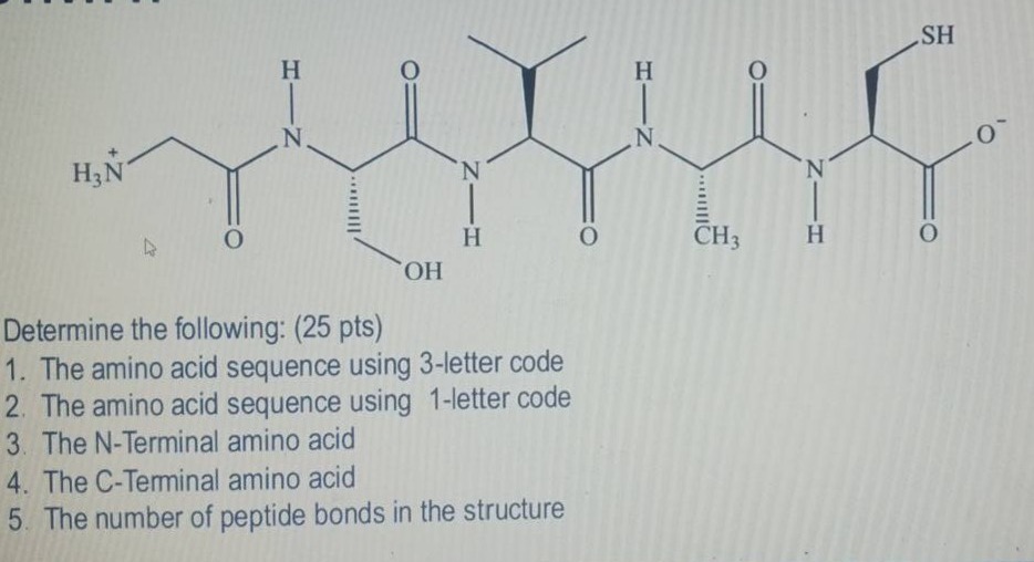 determine the following: (25 pts) 1. the amino acid sequence using 3-le…