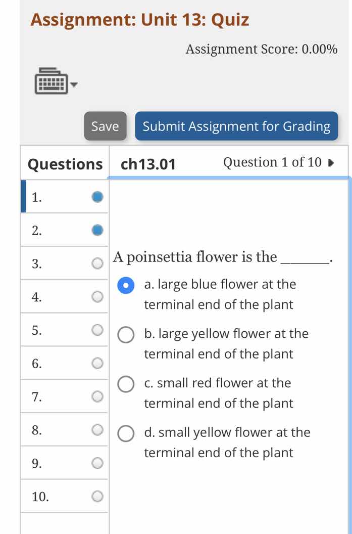 a poinsettia flower is the ______. a. large blue flower at the terminal…
