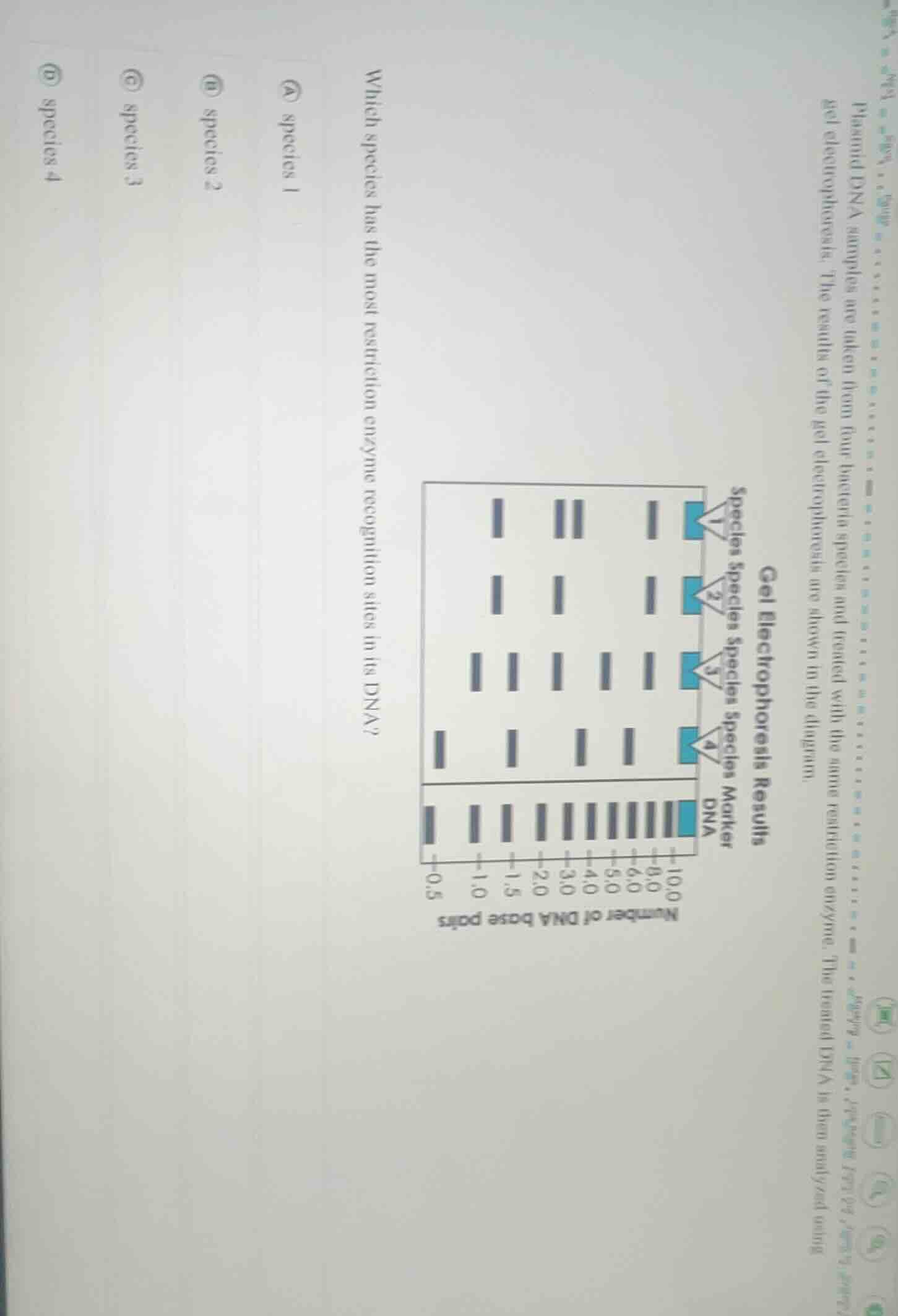 plasmid dna samples are taken from four bacteria species and treated wi…