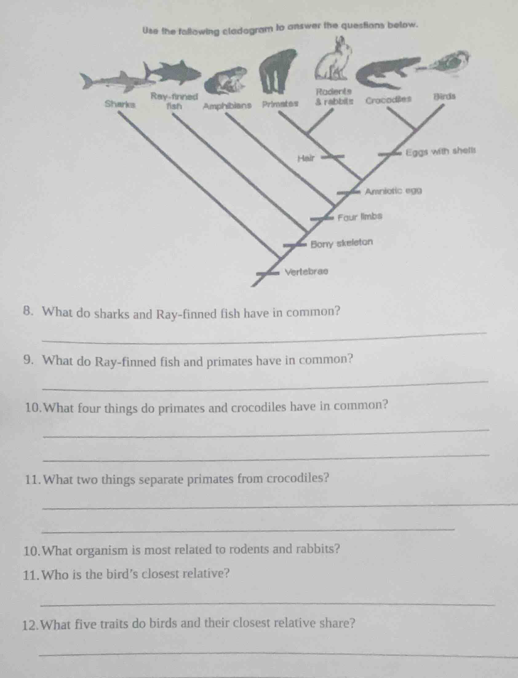 use the following cladogram to answer the questions below. 8. what do s…