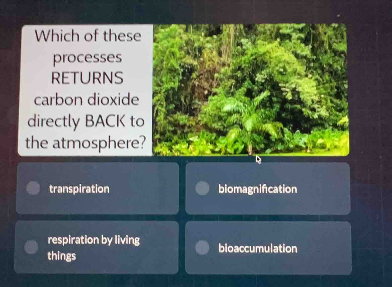 which of these processes returns carbon dioxide directly back to the at…