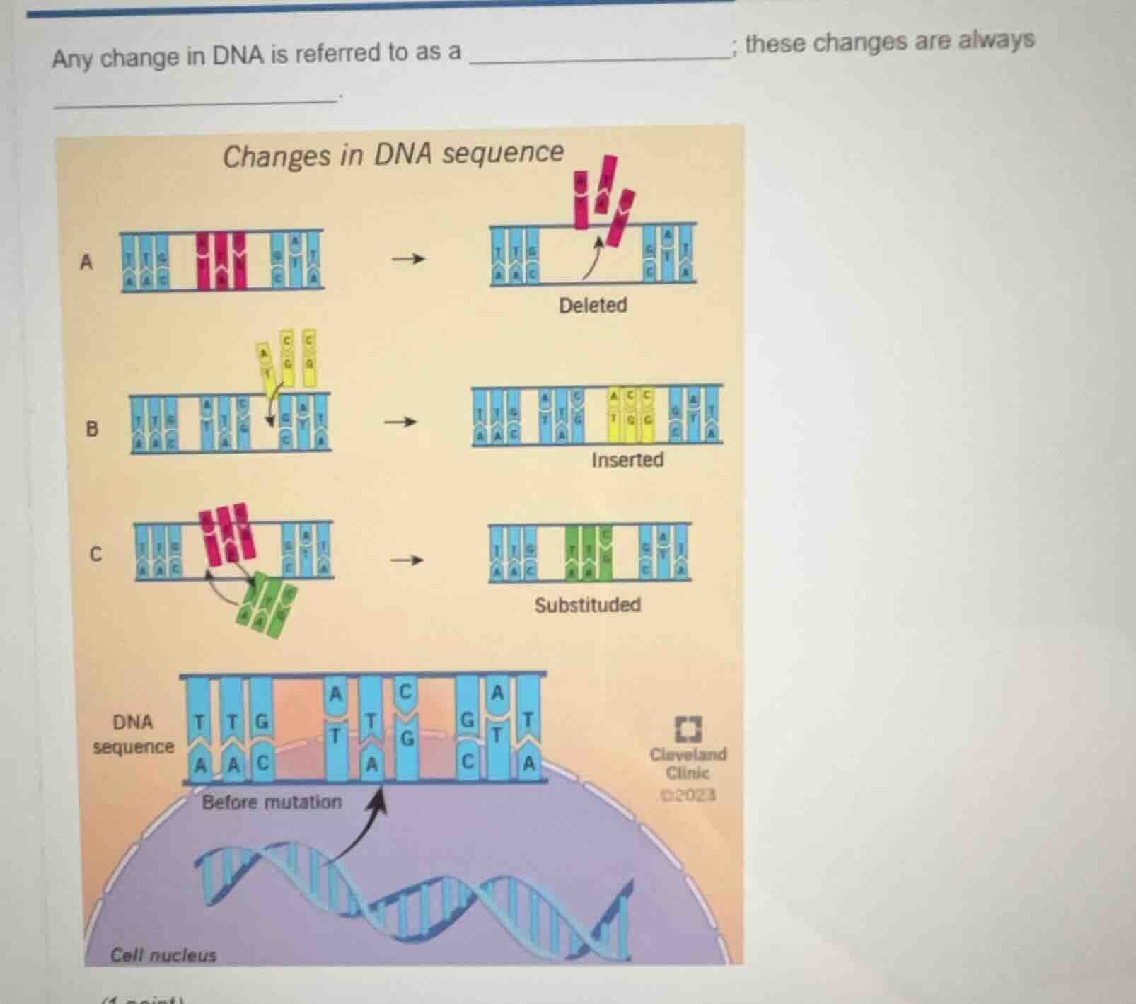 any change in dna is referred to as a ______________; these changes are…