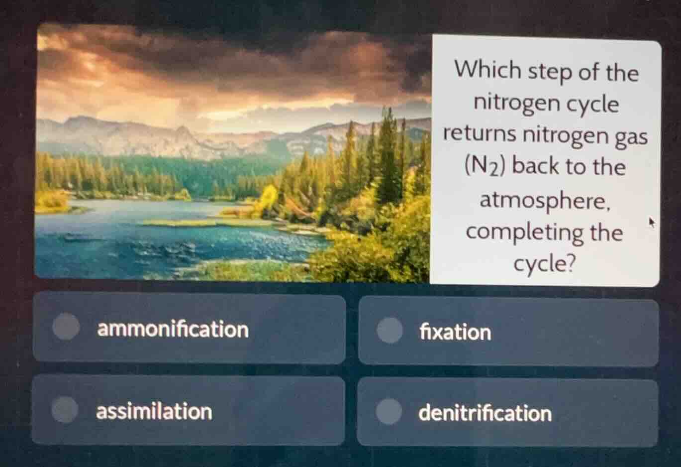 which step of the nitrogen cycle returns nitrogen gas (n₂) back to the …