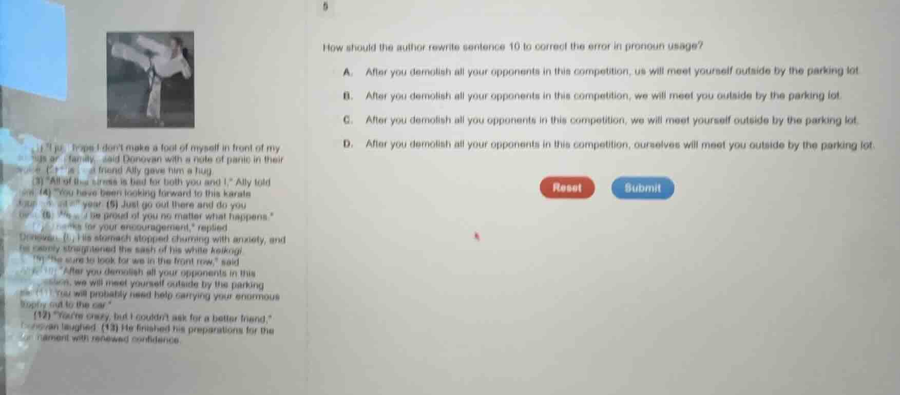 how should the author rewrite sentence 10 to correct the error in prono…