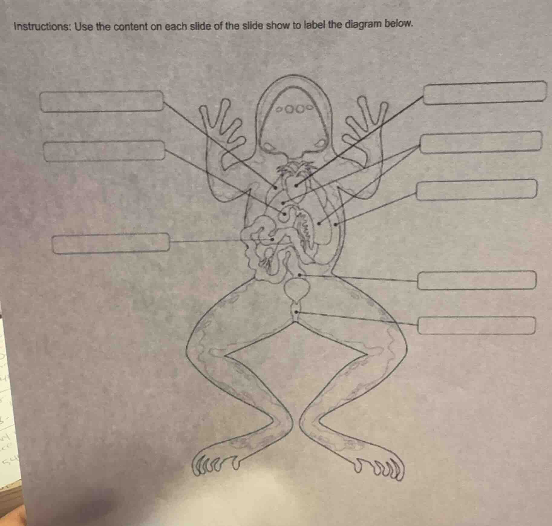 instructions: use the content on each slide of the slide show to label …