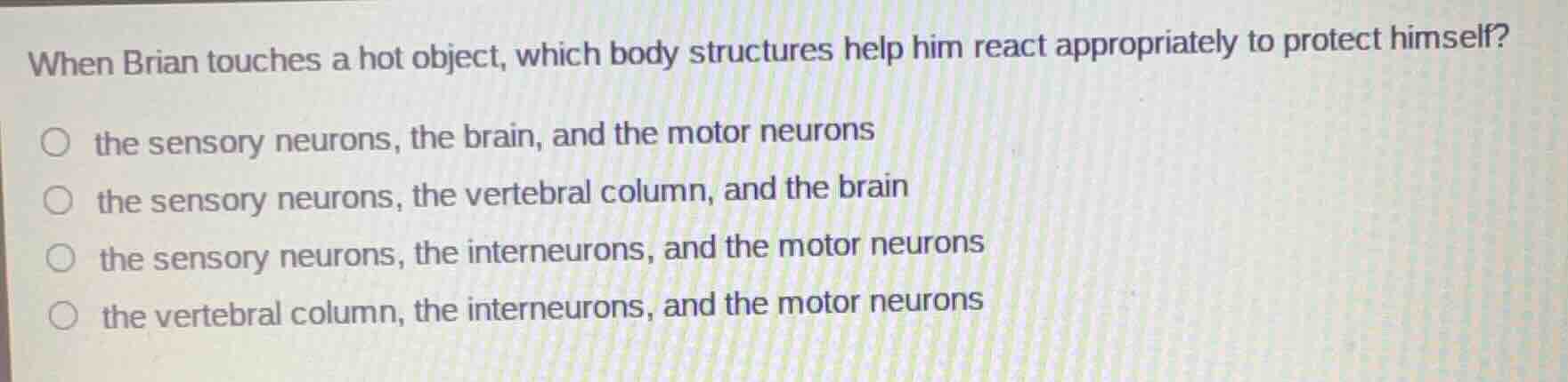 when brian touches a hot object, which body structures help him react a…