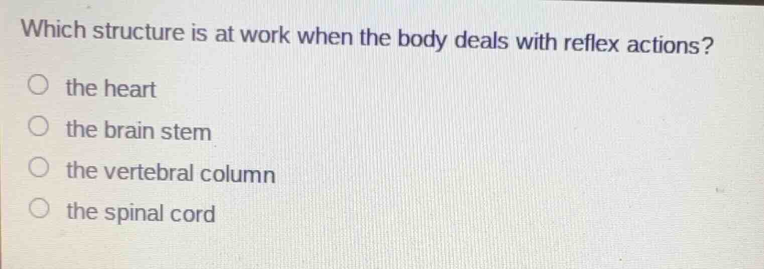 which structure is at work when the body deals with reflex actions? ○ t…