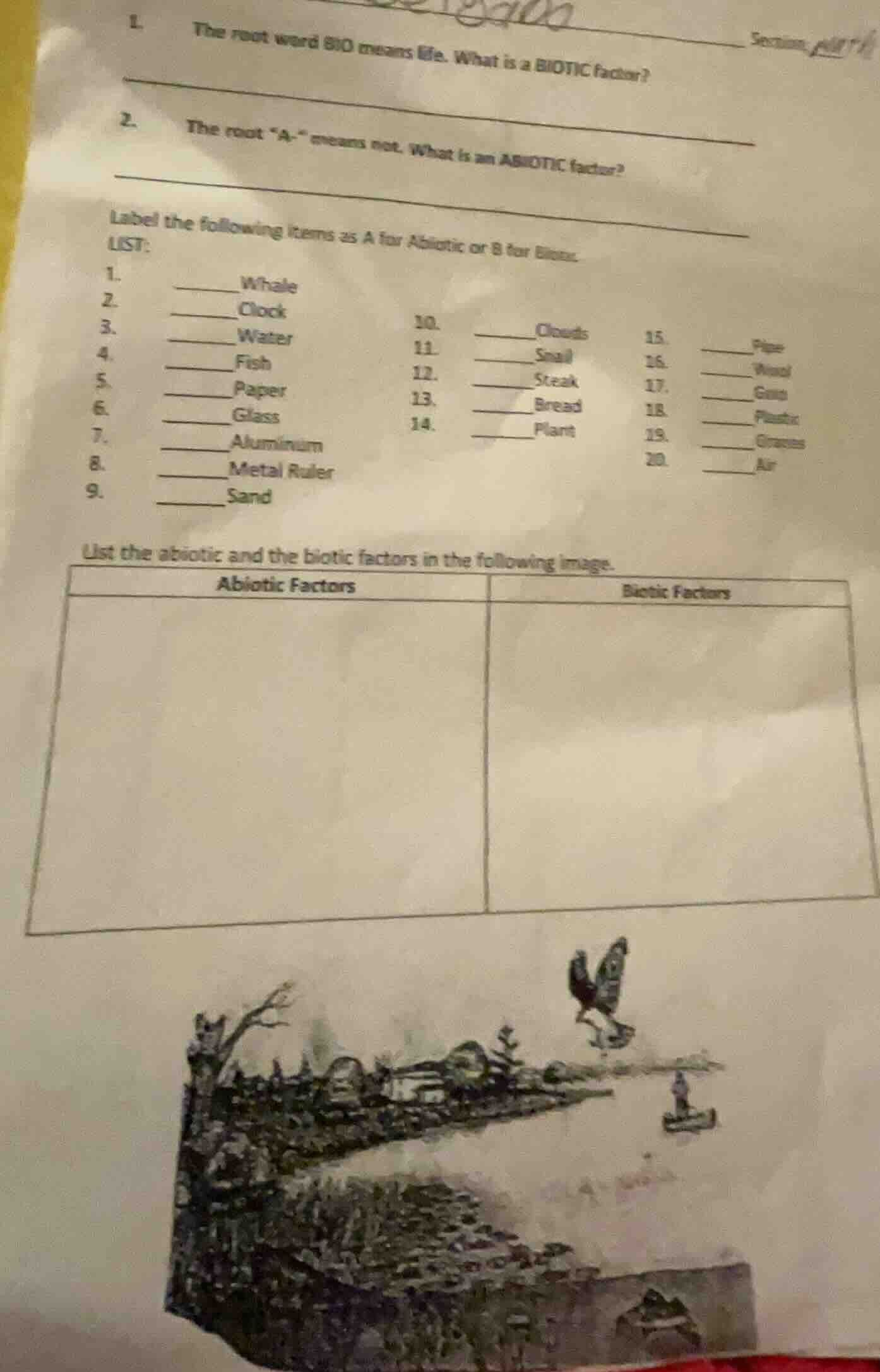 1. the root word bio means life. what is a biotic factor? 2. the root \…