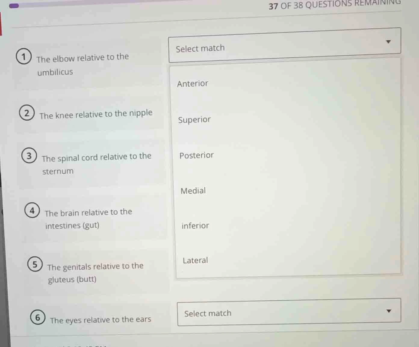 37 of 38 questions remaining 1 the elbow relative to the umbilicus 2 th…