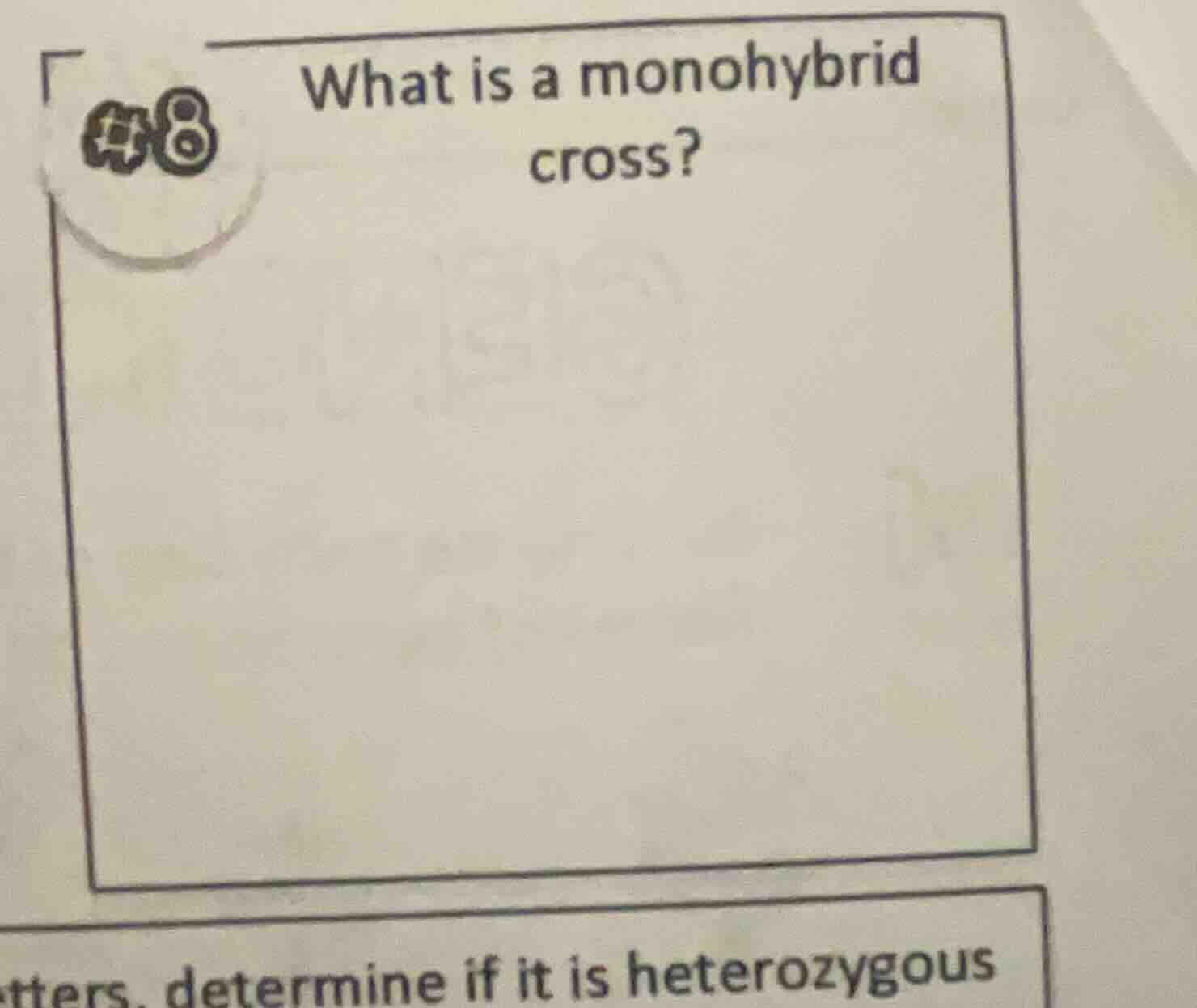 #8 what is a monohybrid cross?