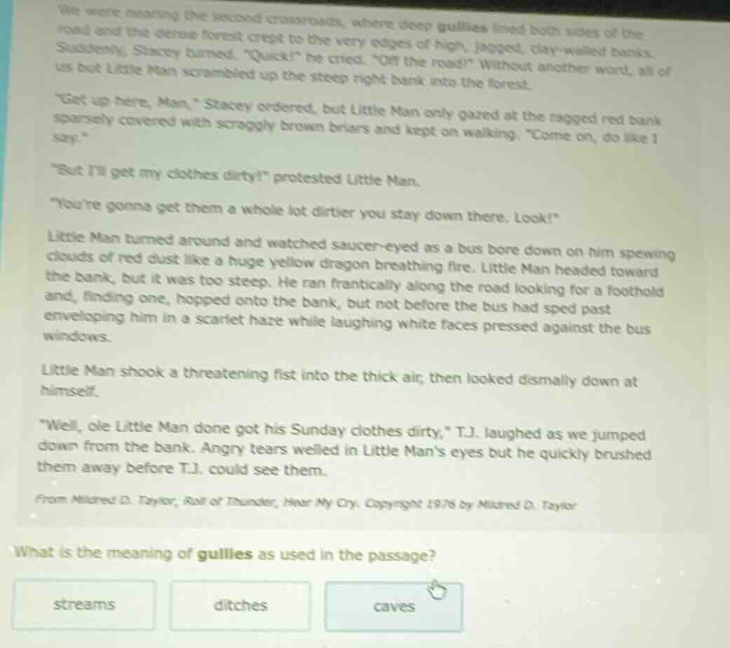 we were nearing the second crossroads, where deep gullies lined both si…