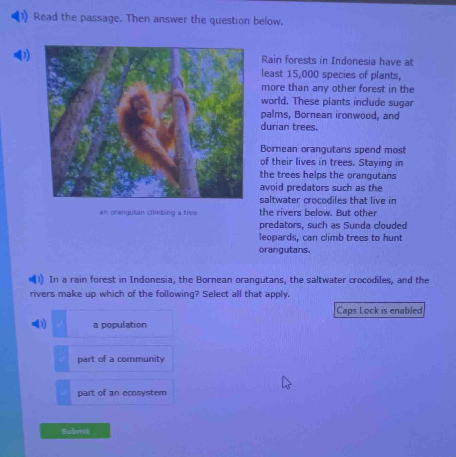 read the passage. then answer the question below. rain forests in indon…