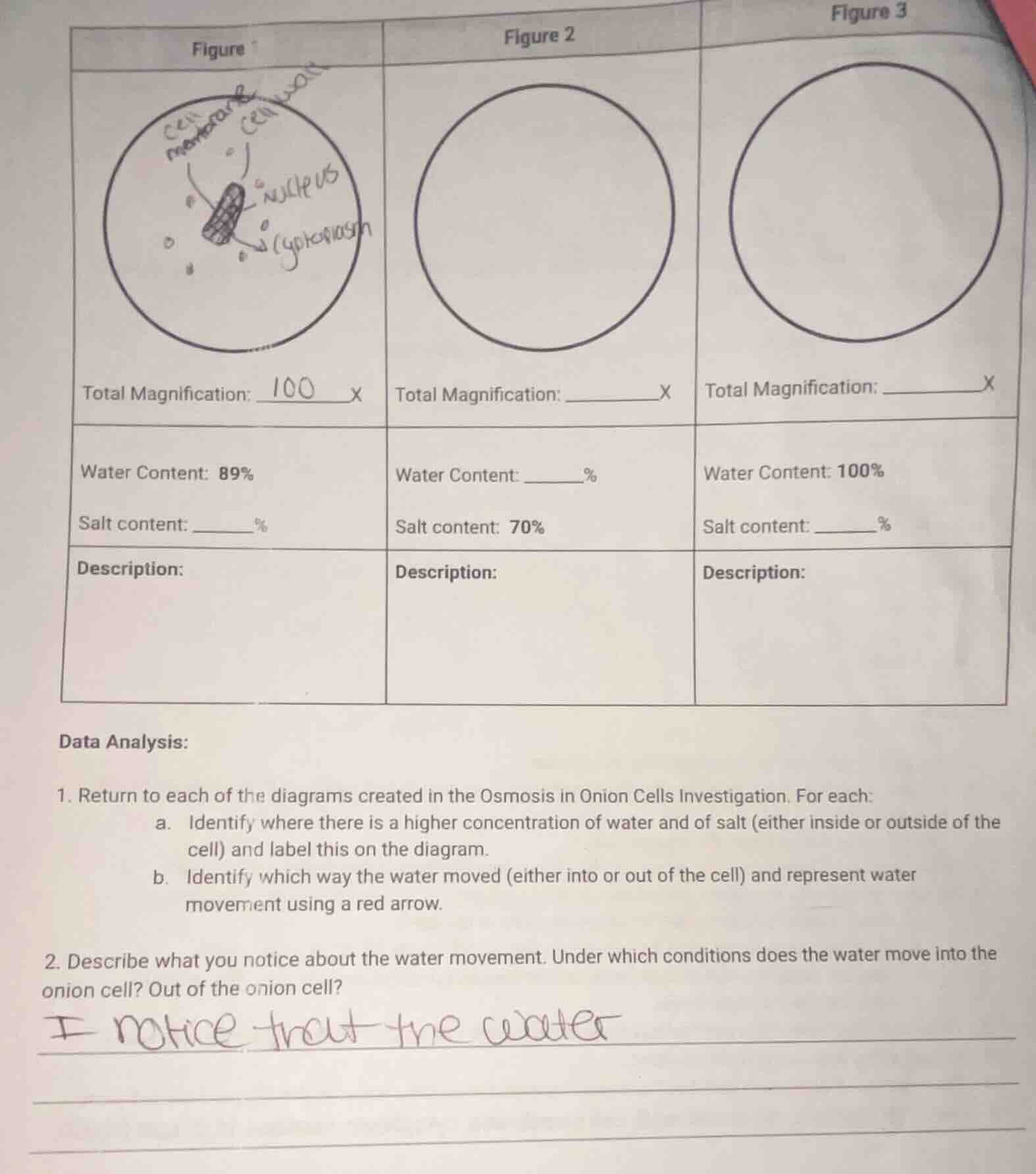 figure total magnification: 100 x water content: 89% salt content: ____…