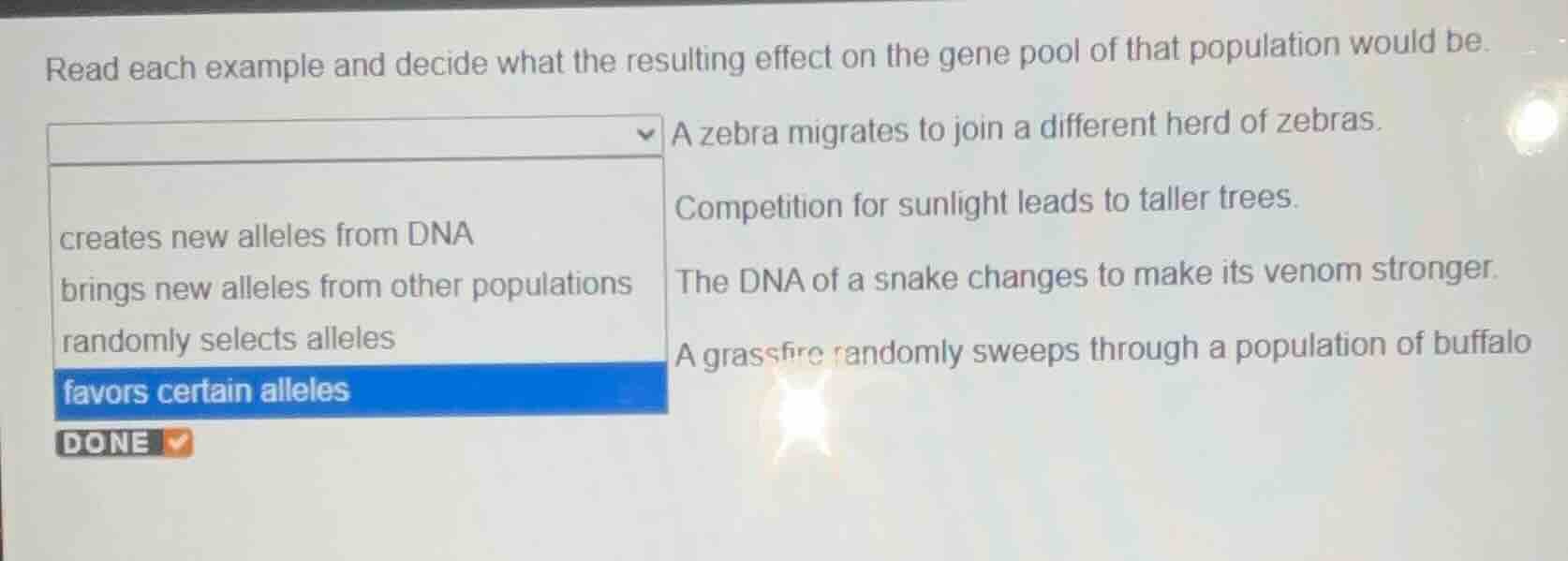 read each example and decide what the resulting effect on the gene pool…