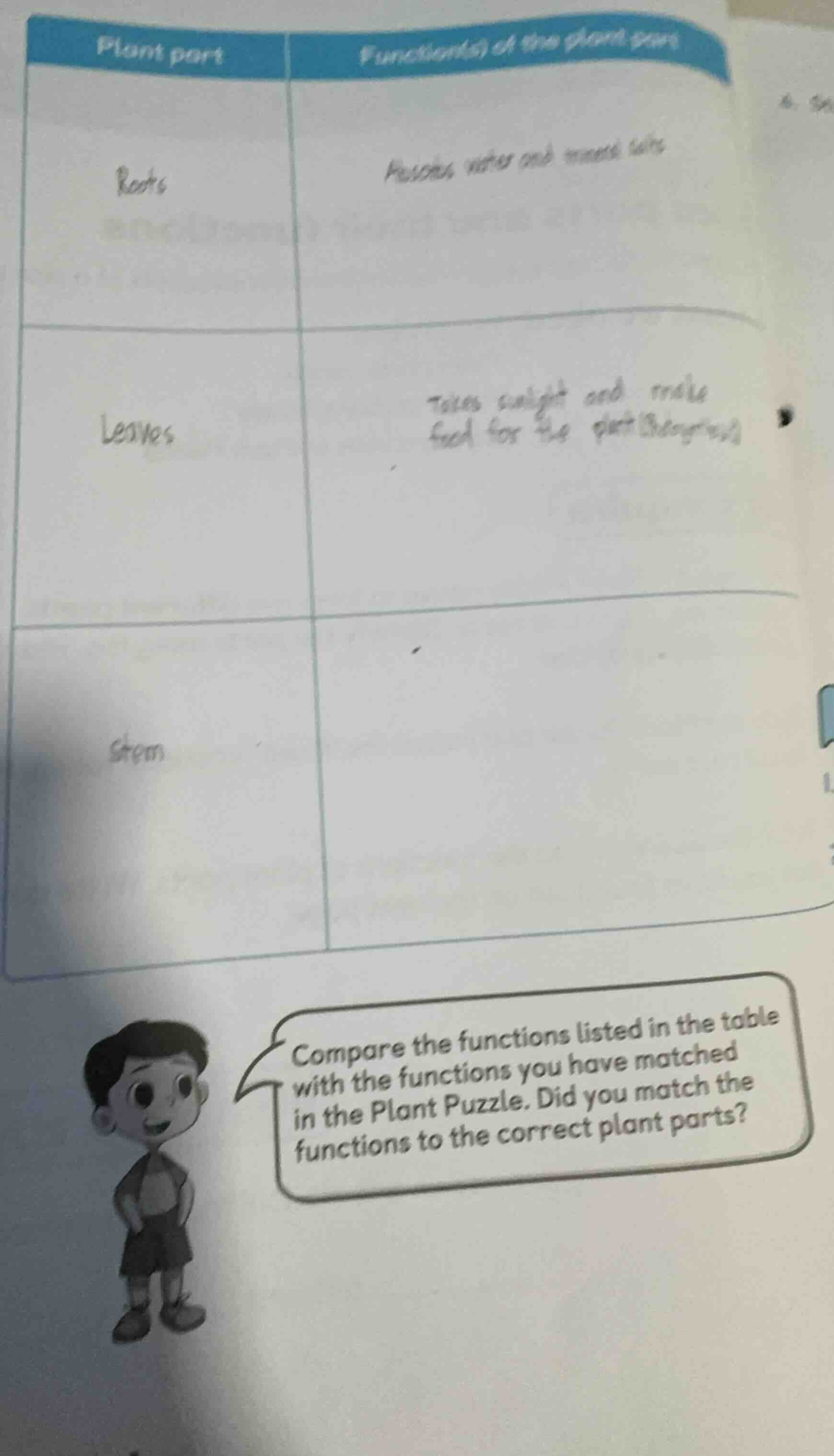 plant part | function(s) of the plant part roots | absorbs water and mi…
