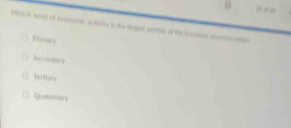 which level of economic activity is the largest portion of the european…
