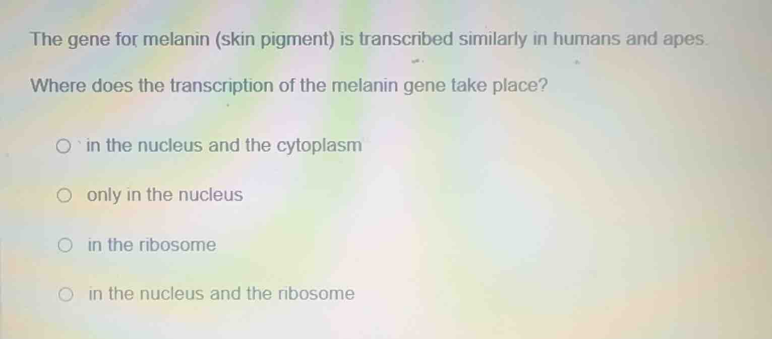 the gene for melanin (skin pigment) is transcribed similarly in humans …