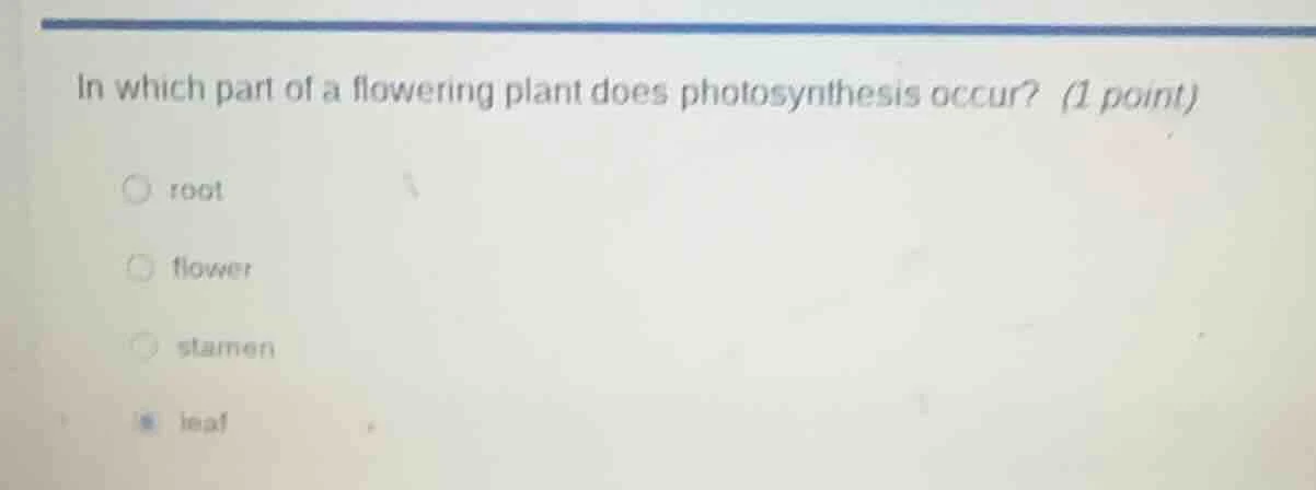 in which part of a flowering plant does photosynthesis occur? (1 point)…