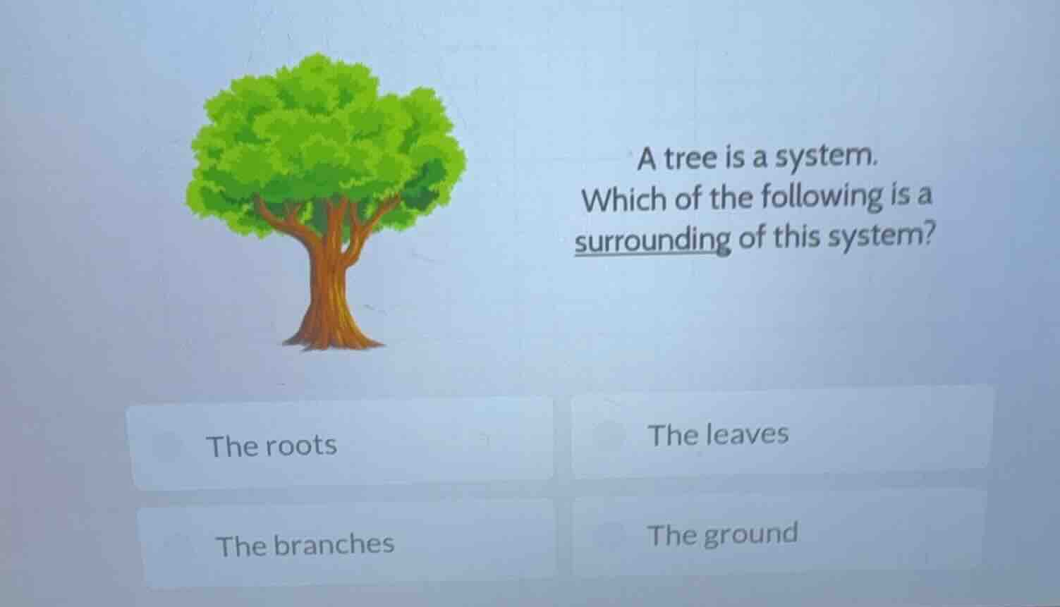a tree is a system. which of the following is a surrounding of this sys…