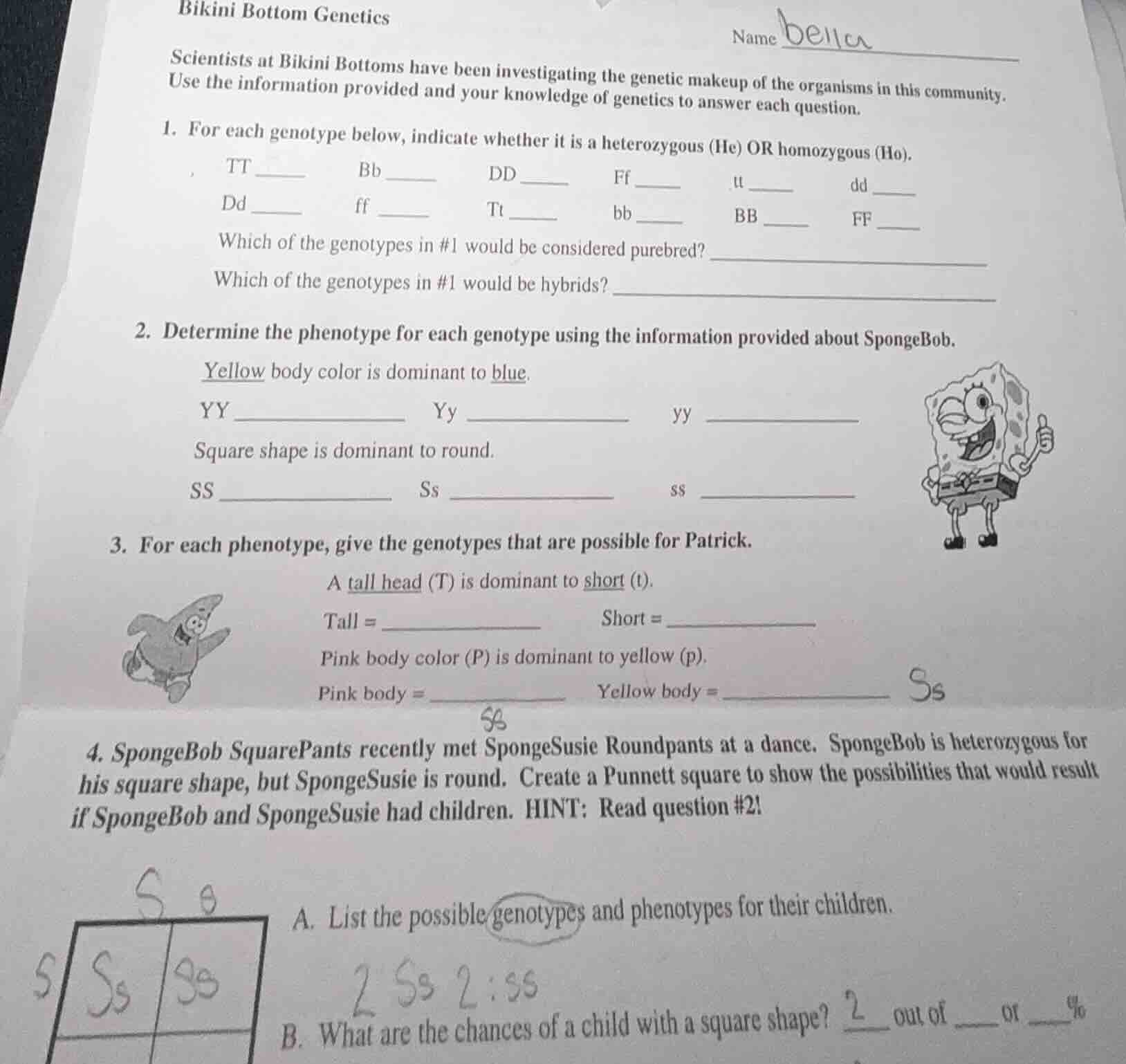 bikini bottom genetics name bella scientists at bikini bottoms have bee…