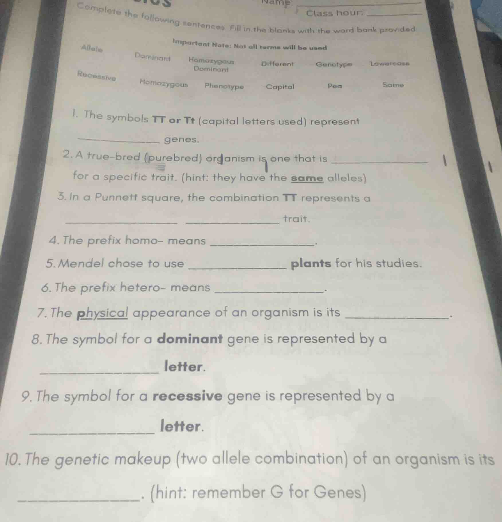 complete the following sentences. fill in the blanks with the word bank…