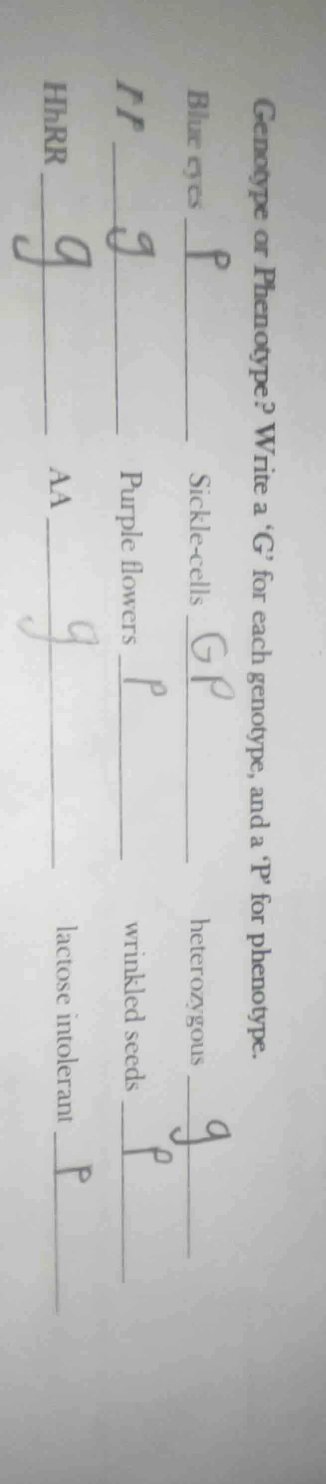 genotype or phenotype? write a ‘g’ for each genotype, and a ‘p’ for phe…