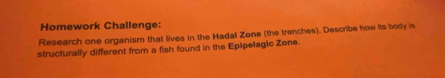 homework challenge: research one organism that lives in the hadal zone …