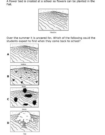 a flower bed is created at a school so flowers can be planted in the fa…