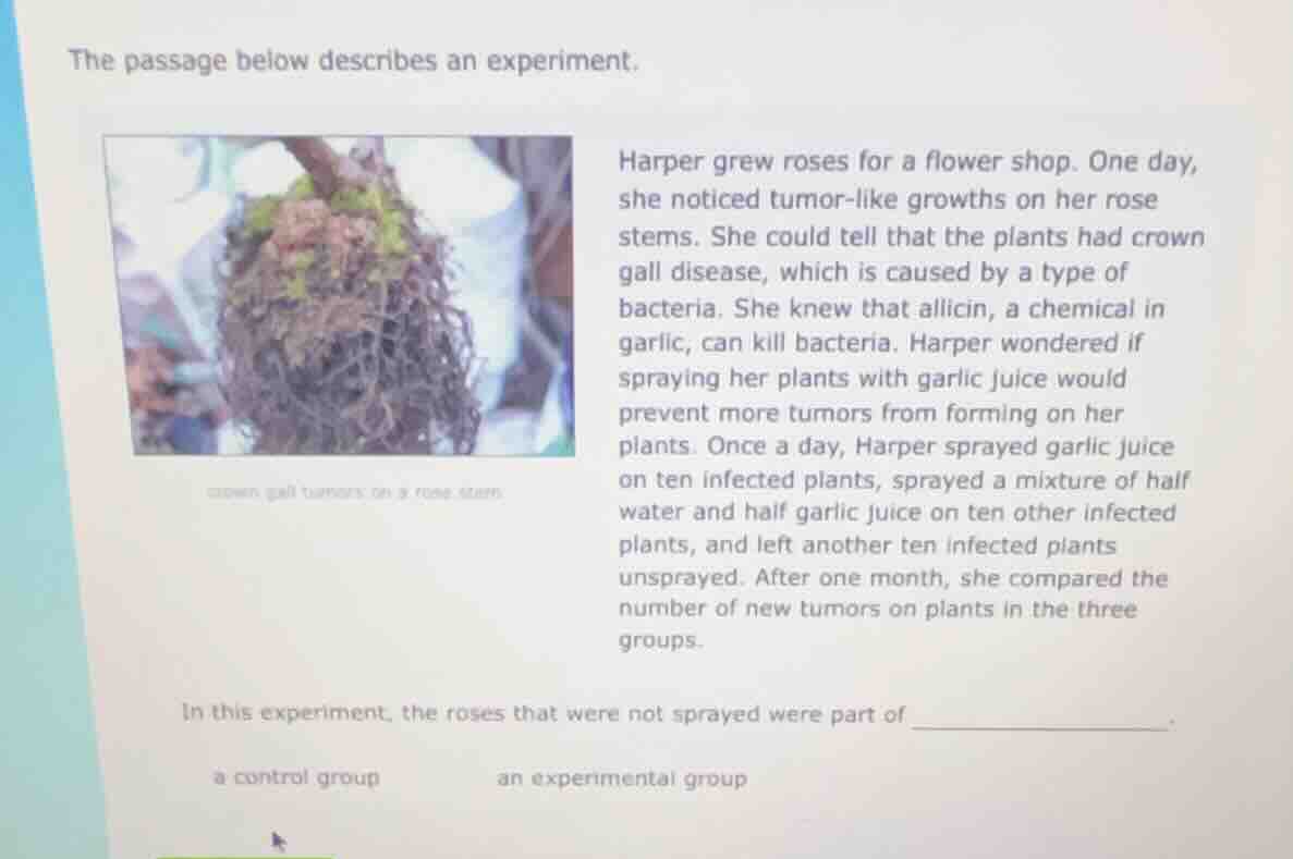 the passage below describes an experiment. harper grew roses for a flow…