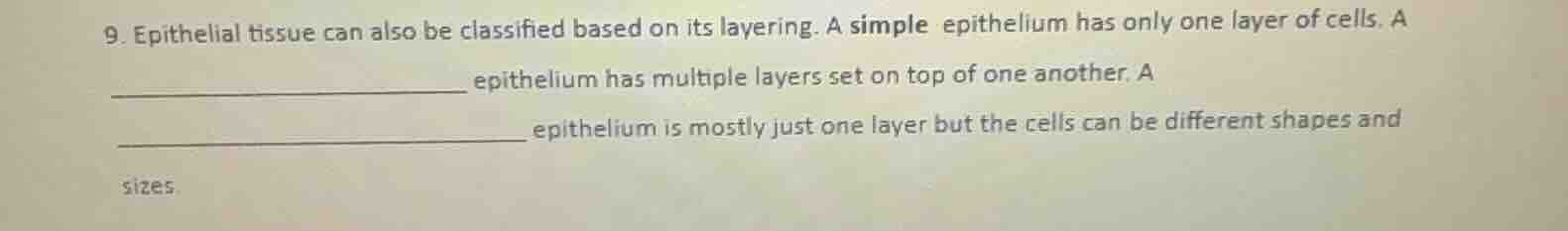 9. epithelial tissue can also be classified based on its layering. a si…