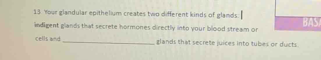 13. your glandular epithelium creates two different kinds of glands. in…