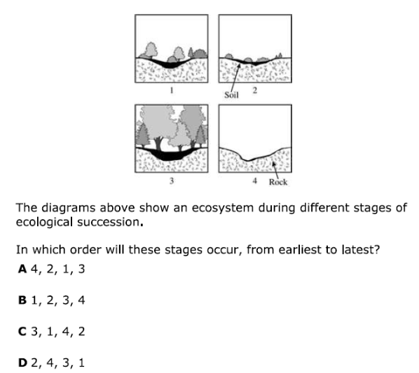 the diagrams above show an ecosystem during different stages of ecologi…