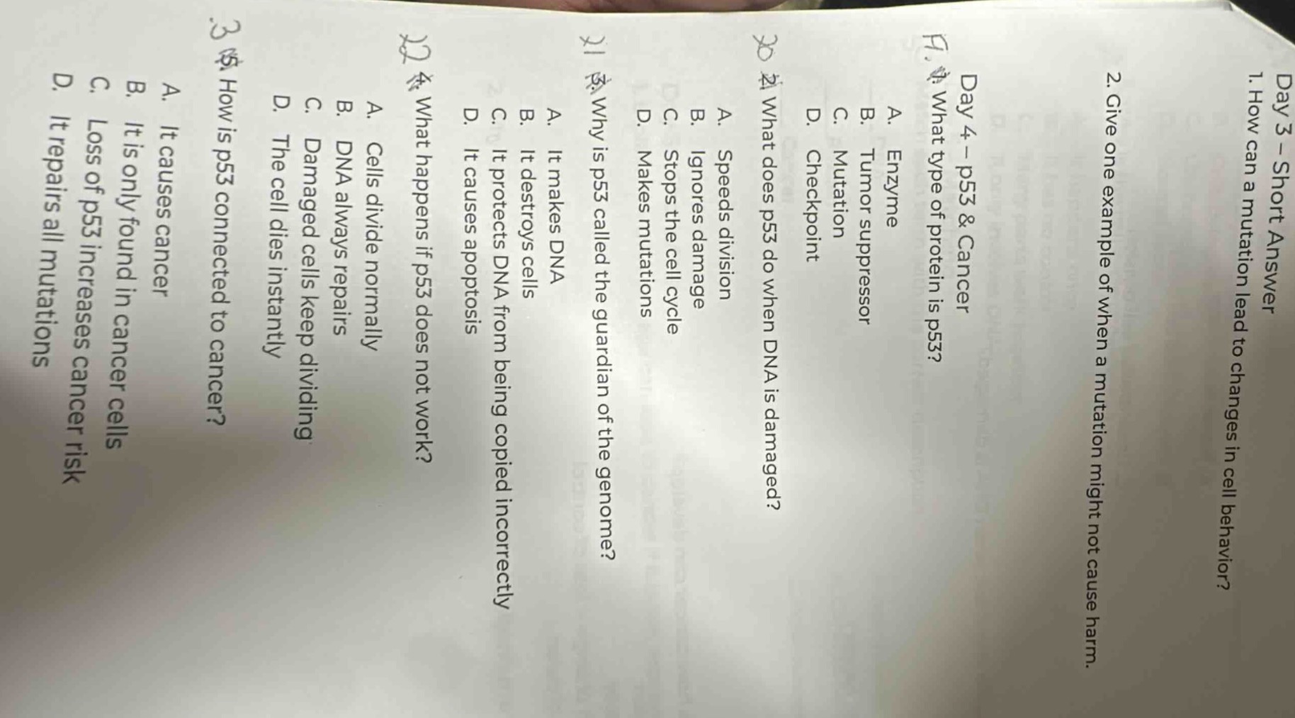 day 3 – short answer 1. how can a mutation lead to changes in cell beha…