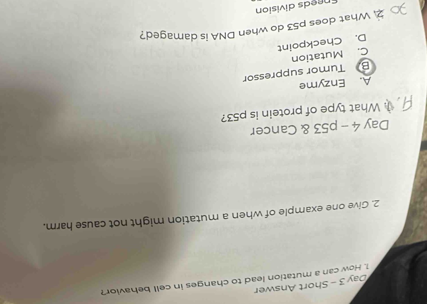 day 3 - short answer 1. how can a mutation lead to changes in cell beha…