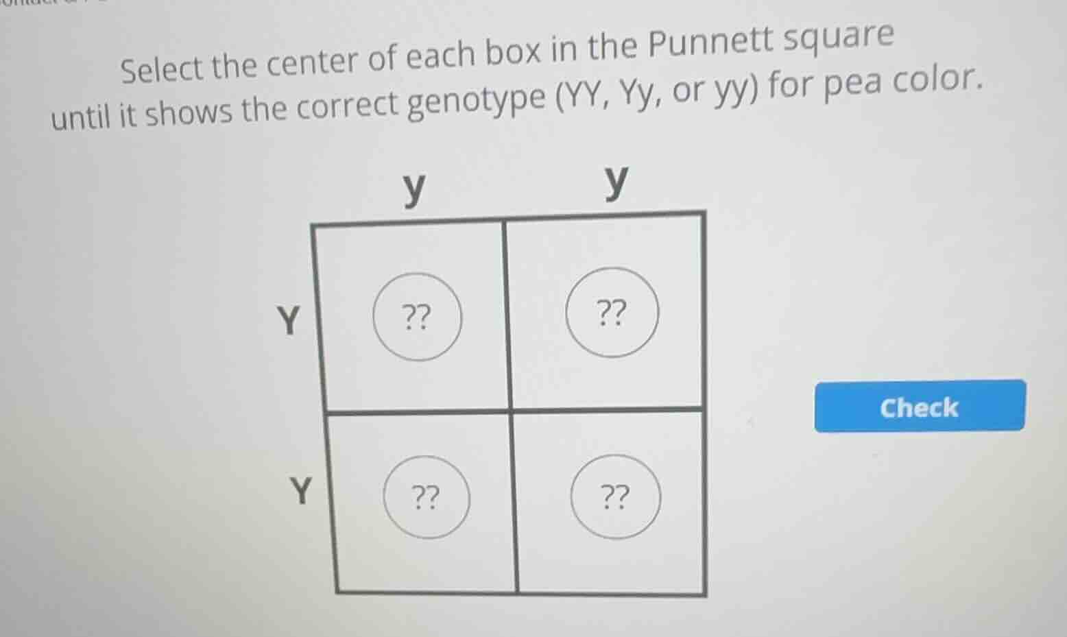 select the center of each box in the punnett square until it shows the …