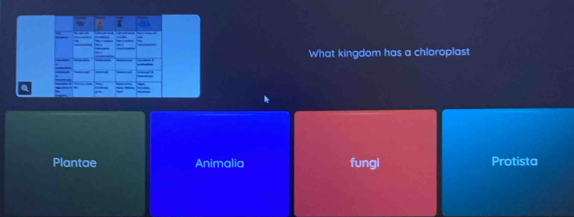 what kingdom has a chloroplast; plantae; animalia; fungi; protista