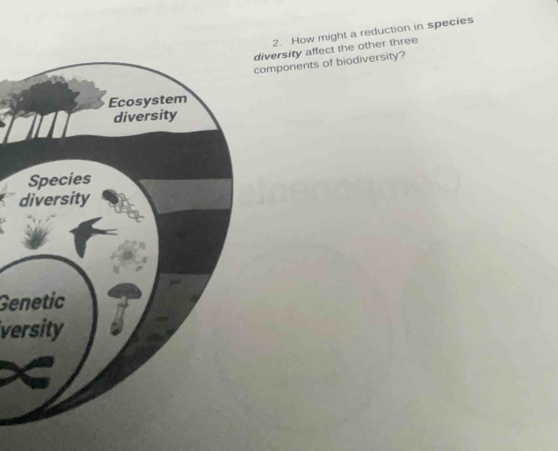 2. how might a reduction in species diversity affect the other three co…