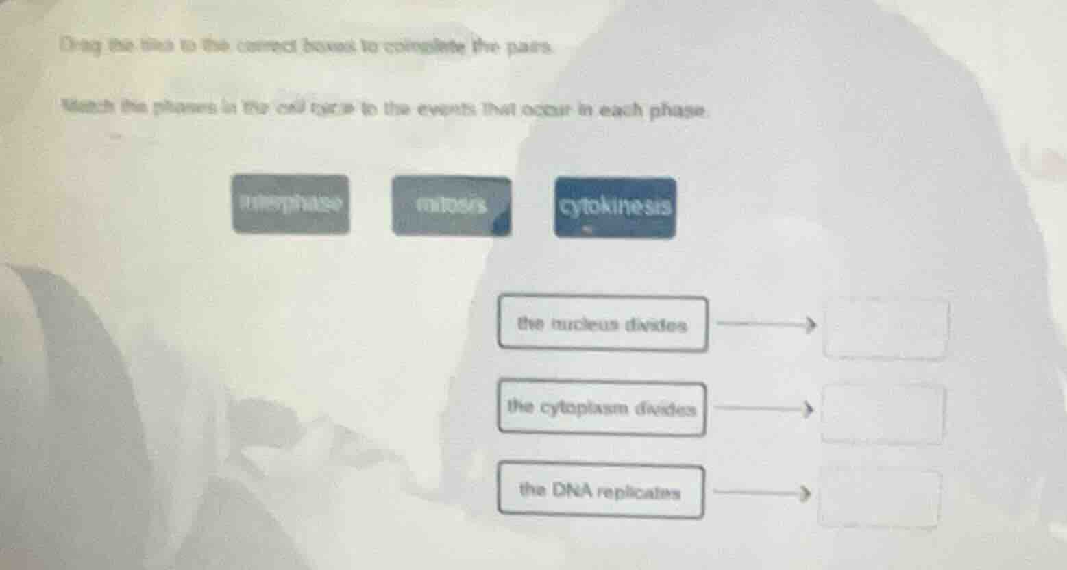drag the tiles to the correct boxes to complete the pairs. match the ph…