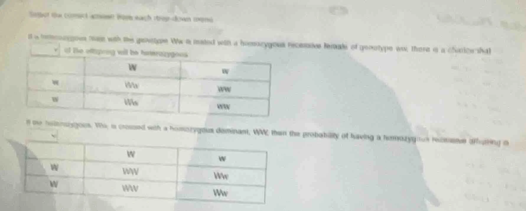 select the correct answer from each drop - down menu. if a heterozygous…