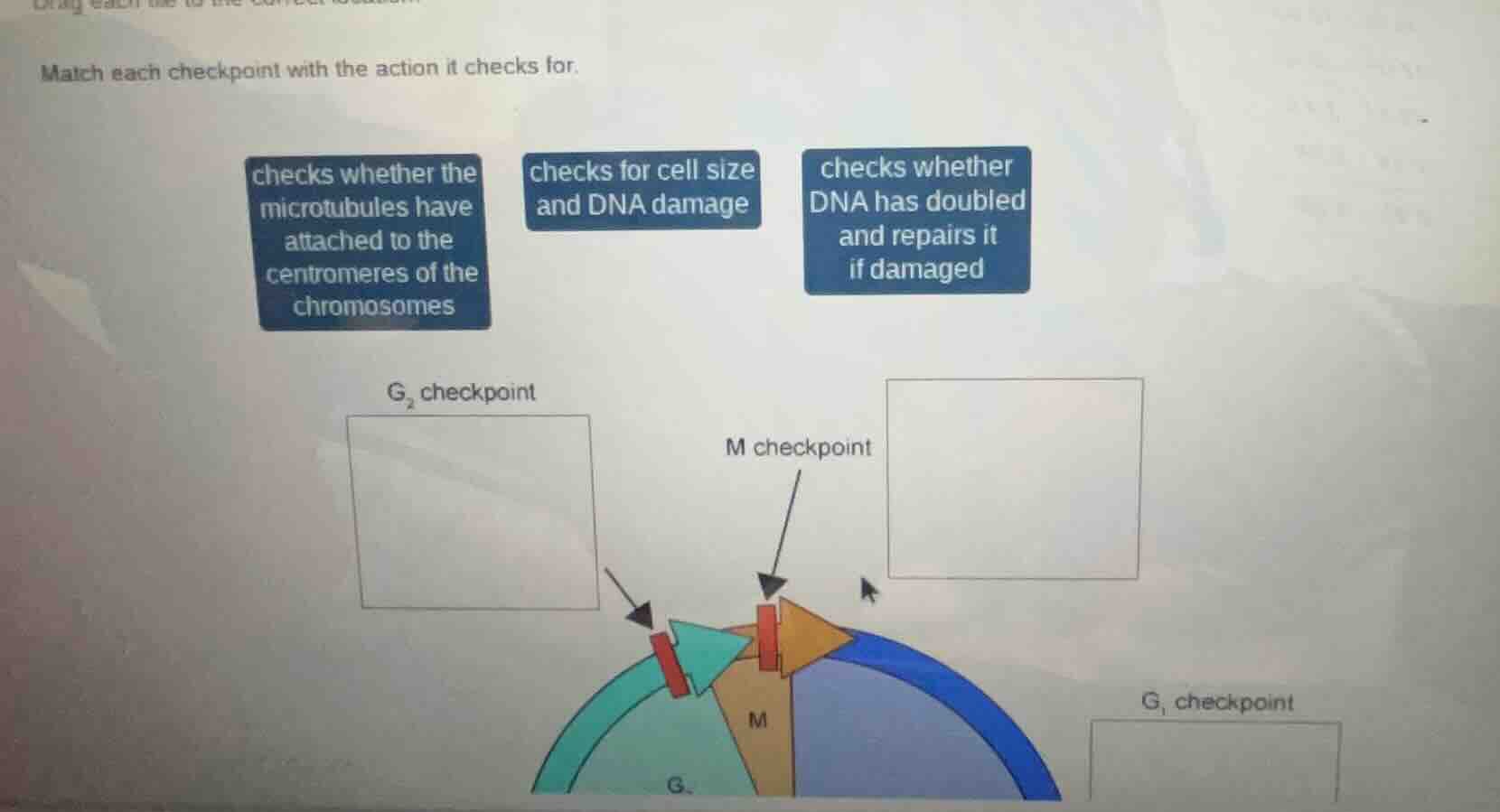 match each checkpoint with the action it checks for. checks whether the…