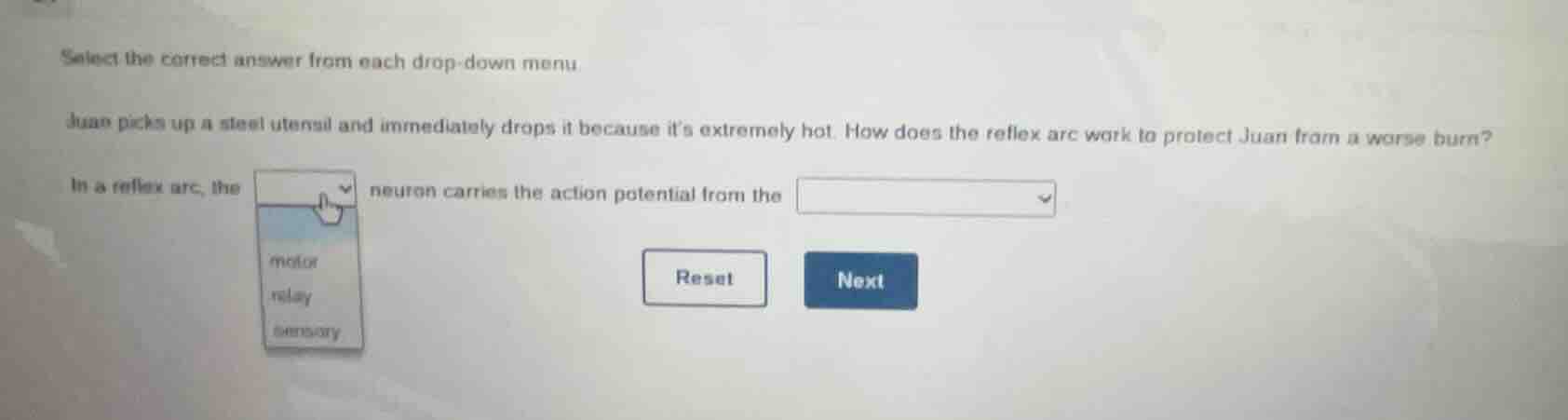 select the correct answer from each drop - down menu juan picks up a st…