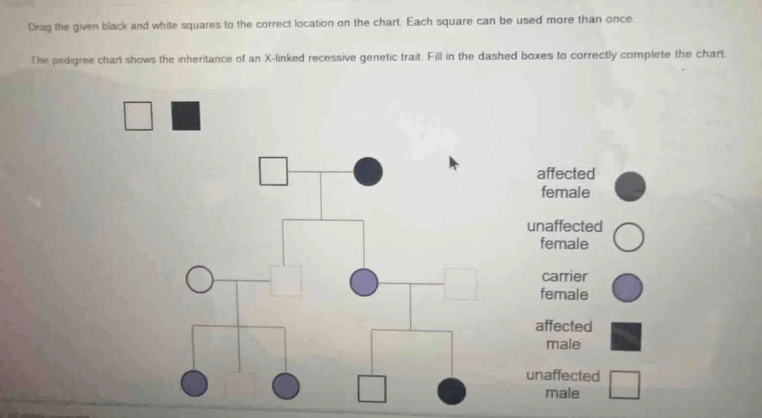 drag the given black and white squares to the correct location on the c…